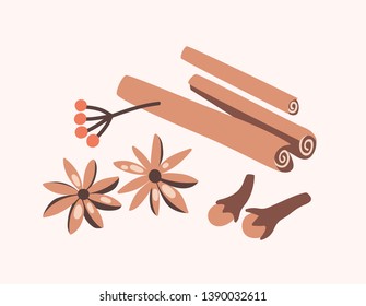 Cinnamon sticks, cloves and star anise isolated on light background. Aromatic spices or spicy food condiments used in culinary. Decorative design elements. Flat cartoon colorful vector illustration.