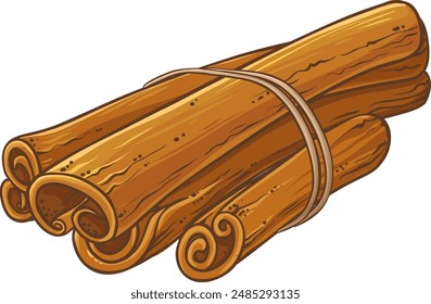 Cinnamon Sticks Colored Detailed Illustration