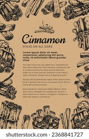 Cinnamon sticks from different angles and top view. Old book style botanical vector illustration. Hand-drawn sketch style artwork. Cafe, bar, restaurant menu template. Cinnamomum verum. 