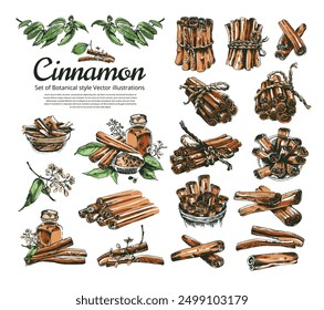 Cinnamon sticks from different angles and top view. Vector illustration. Hand-drawn sketch style artwork. Botanical style illustration. The real Ceylon Cinnamon sticks on all sides. Cinnamomum verum. 
