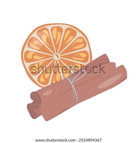 Cinnamon sticks and  dried orange slice. Aromatic composition. Vector illustration  
