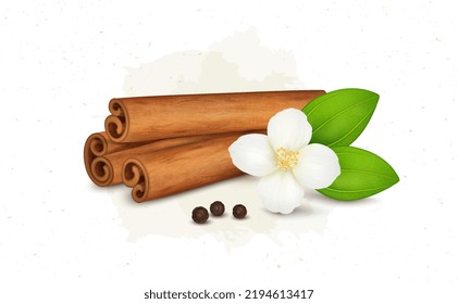 Cinnamon Sticks and flower vector illustration with black pepper seeds