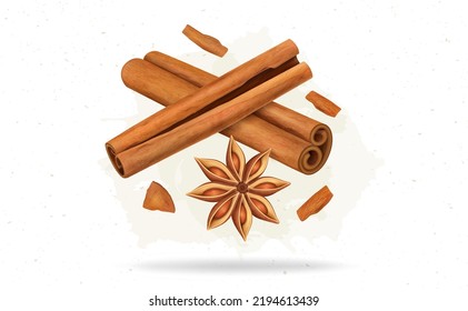 Cinnamon Sticks and flower vector illustration with cinnamon pieces