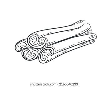 Cinnamon sticks hand drawn. Textured whole cinnamon pods in doodle style. Isolated vector illustration.