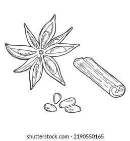 Cinnamon sticks hand drawn. Textured whole cinnamon pods in doodle style. Isolated vector illustration.