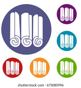 Cinnamon sticks icons set in flat circle reb, blue and green color for web