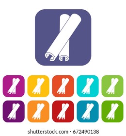 Cinnamon sticks icons set vector illustration in flat style In colors red, blue, green and other