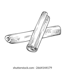 Canela pega. Conjunto de esboços à tinta. Ilustração de vetor desenhada à mão.