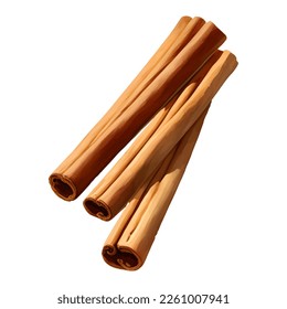 Cinnamon-Sticks einzeln auf handgezeichnete Malerei Illustration