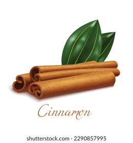 Cinnamon Sticks and Leaves. Cinnamon Realistic Elements for Labels of Cosmetic Skin Care Food Product Design. Vector Isolated Illustration