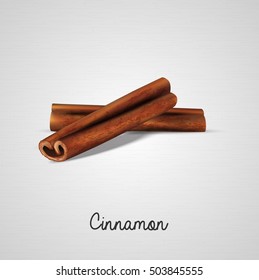 Cinnamon Sticks On White Background.Vector Illustration