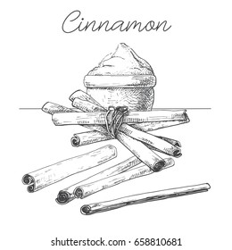 Cinnamon sticks, cinnamon powder. Hand drawn spice isolated on white background. Vector illustration of a sketch style.