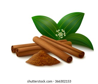 Cinnamon sticks, powder, leaves and flower with shadows isolated on white background. Vector illustration.