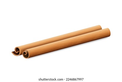 Cinnamon sticks realistic. Aromatic, flavorful spice for cooking, baking, health food and medicine. Traditional winter herb and spice isolated on white background. Vector illustration