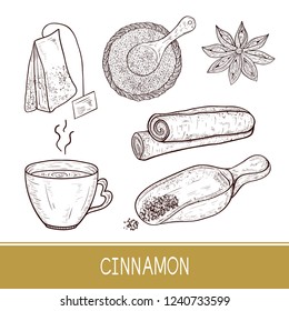 Cinnamon sticks, scoop, star anise, tea, tea bag. Sketch. Set. Monophonic.