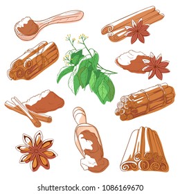 Cinnamon sticks set. Aromatic spice, dried bark of tropical trees, sweet brown powder for flavouring food. Vector hand drawn illustration cinnamon isolated on white background
