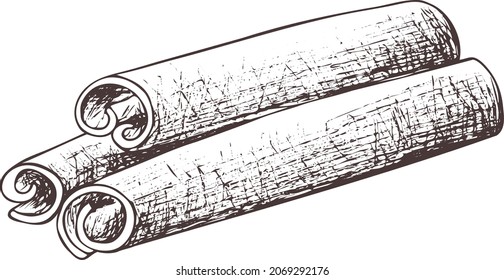 Cinnamon sticks silhouette
isolated. Abstract vintage art. Outline 
vector image on transparent background. Eps spices print for label, packaging, product design