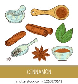 Cinnamon sticks, star anise, leaf. Scoop, powder, bowl. Sketch. Set.