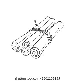 Cinnamon sticks tied with string, doodle drawing isolated on white background.