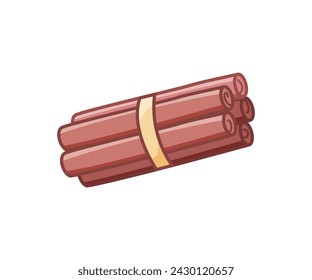 Cinnamon sticks tied together. Vector illustration of spicy spices. Isolate on white.