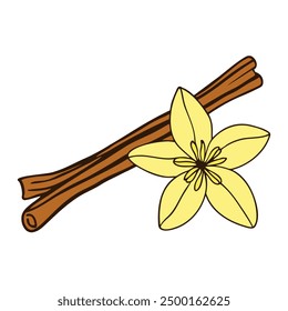 Cinnamon sticks and vanilla flower doodle color drawing on white background