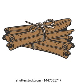Cinnamon sticks. Vector concept in doodle and sketch style. Hand drawn illustration for printing on T-shirts, postcards.
