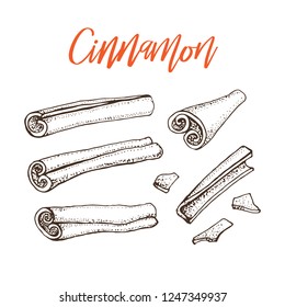 Cinnamon sticks. Vector drawing of aromatic spices set. Seasonal food illustration isolated on white. Hand drawn sketch of spice and flavor. Cooking and mulled wine ingredient