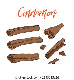 Cinnamon sticks. Vector drawing of aromatic spices set. Seasonal food illustration isolated on white. Hand drawn doodles of spice and flavor. Cooking and mulled wine ingredient