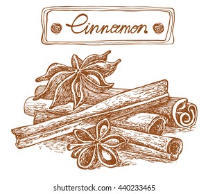 Cinnamon sticks. Vector hand drawn illustration. Engraved graphic style. 