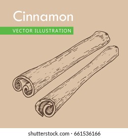 Cinnamon sticks vector hand drawn  illustration. Product to prepare delicious and healthy food.  Vector black vintage engraving illustration. Isolated on beige background