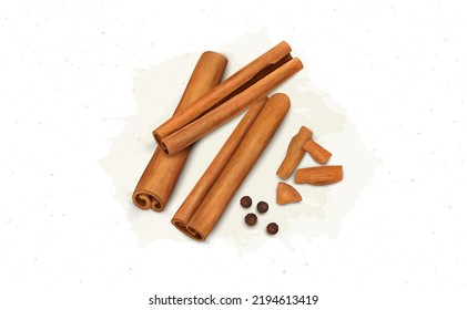 Cinnamon Sticks vector illustration with black pepper seeds and cinnamon  pieces