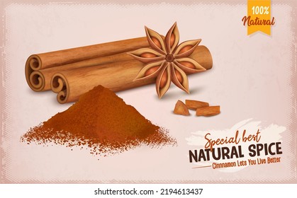 Cinnamon Sticks ilustración vectorial con flor de canela y vectores de pólvora