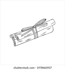 Cinnamon sticks vector illustration. Hand drawn mulled wine ingredient isolated on white background. EPS 10.