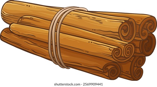 cinnamon sticks vector  isolated illustration