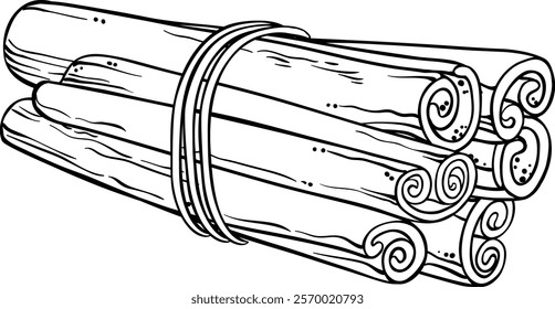 cinnamon sticks vector  isolated illustration