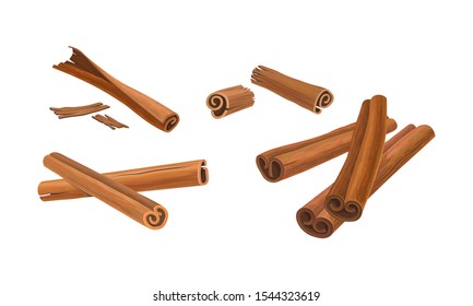 Cinnamon Sticks Vector Set. Cinnamon Barks in Different Positions Isolated on White Background