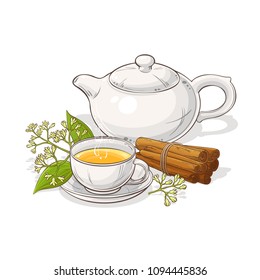cinnamon tea illustration
