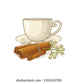 cinnamon tea illustration