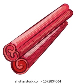Cinnamon twist stick, drawing view of coffee aroma ingredient, involute canella symbol, element of cooking java drink, eating or drinking, tasty vector
