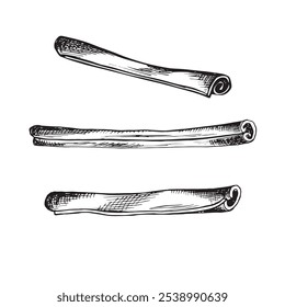 Canela torceu paus. Definir esboços. Ilustração gráfica vetorial, desenho à mão isolado. Desenho em preto e branco de temperos salgados. Tempero para cozinhar. Clipart para menu, receita, cosmética, embalagem.