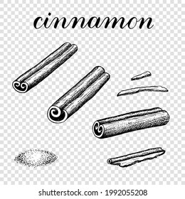 Cinnamon vector illustration. Spices. Dried bark strips. Cinnamon bark powder. Black and white on a transparent background. Coloring book