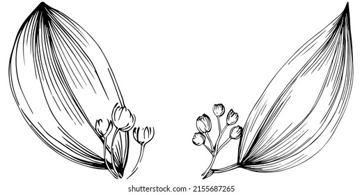 Cinnamon vector isolated plant with leaves. Herbal engraved style illustration. Detailed organic product sketch.The best for design logo, menu, label, icon, stamp.