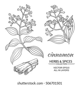 cinnamon vector set