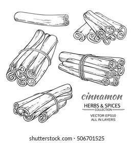 cinnamon vector set