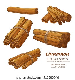 Cinnamon Vector Set