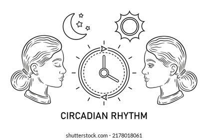 Circadian rhythm, biological clock, sleep time regulation, human life day night cycle, internal biorhythm line icon. Woman asleep or waking schedule, daily activity routine. Influence sun light vector