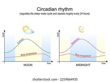 zirkadischer Rhythmus. Körpertemperatur, Kortisol und Melatonin. Schlafstörungen, Schlaflosigkeit. Vektorplakat