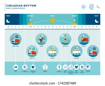 Circadian rhythm and daily activities: how exposure to sunlight regulates body processes during day and night