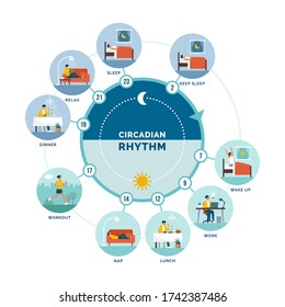 Circadian rhythm and daily activities: daily routine of a woman and sleep-wake cycle, healthy lifestyle concept