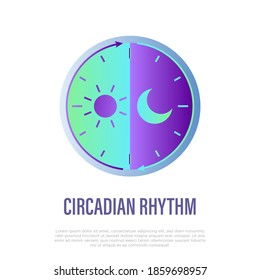 Circadian rhythm flat gradient icon. Sleep regulation by hormones. Vector illustration.